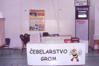 Srečanje čebelarjev v Celju leta 2002