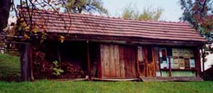 Slika čebelnjaka