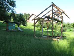 Slika čebelnjaka