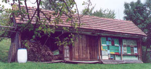 Slika čebelnjaka