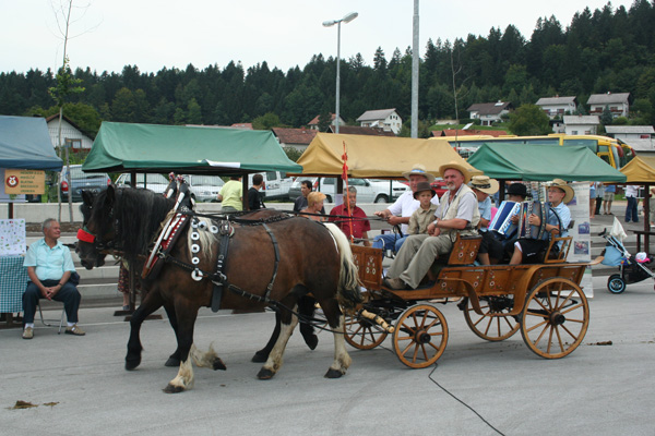 Lepo okraane konjska vprega