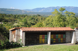 Kraki ebelnjak v vasi Pliskavica (Foto F. ivic)