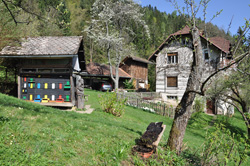 Slika letonje pomladi (2011)