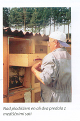Kirarjev panj