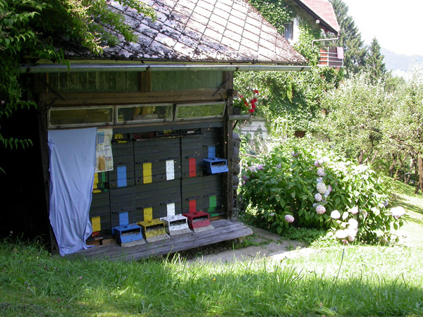 �ebelnjak